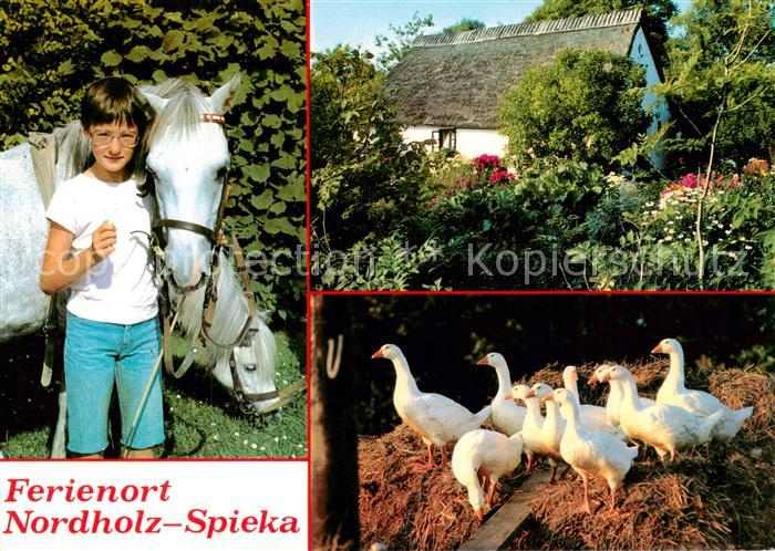 Spieka Cappel Neufeld Entenschar Friesenhaus