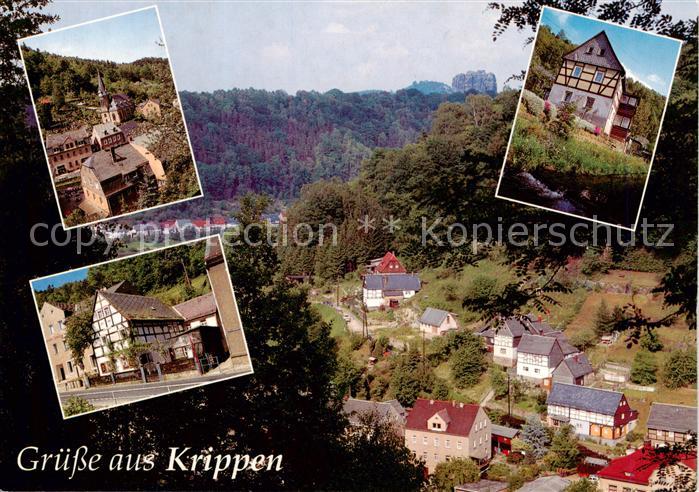 Krippen Bad Schandau Panorama