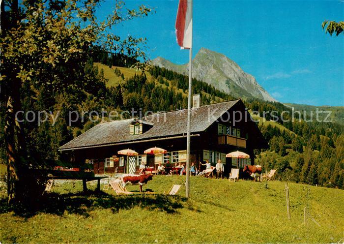 Dorfgastein Jausenstation Strohlehenalm