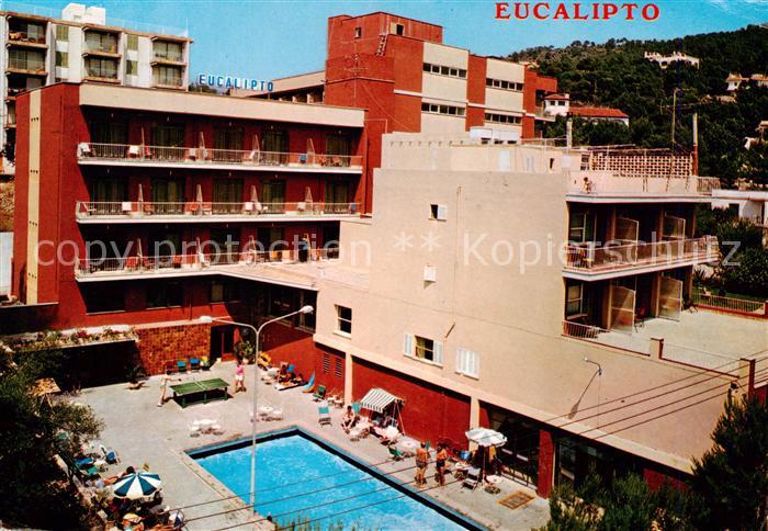 Paguera Mallorca Islas Baleares ES Hostal Eucalipto