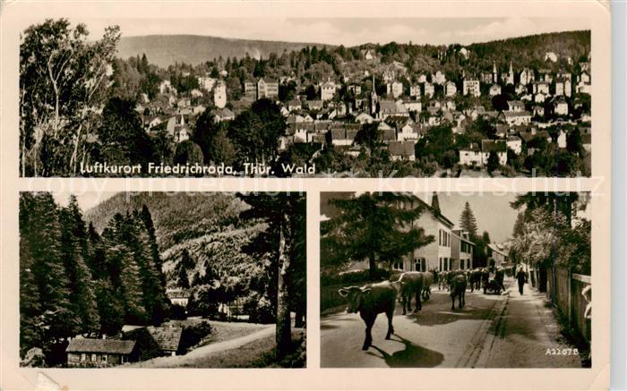 Friedrichroda Stadtpanorama Luftkurort Damenkapelle Viehtrieb