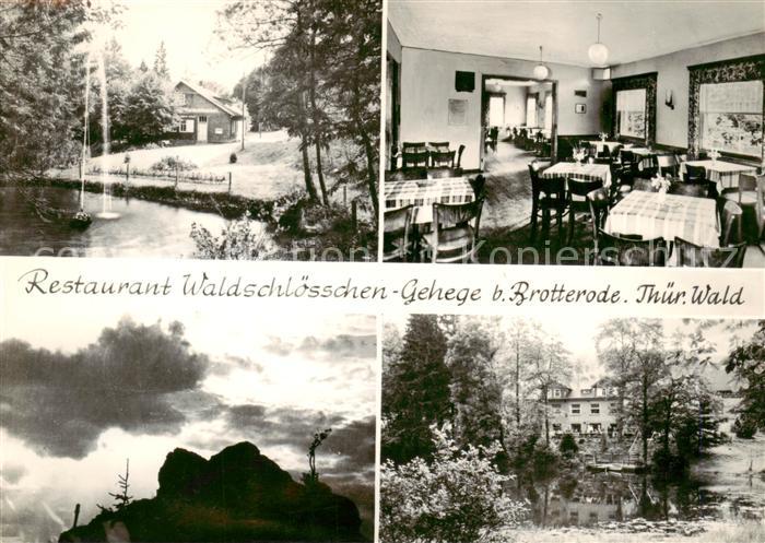 Brotterode Restaurant Waldschloesschen Gastraum Gehege
