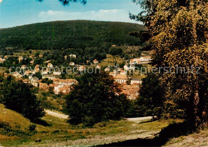 Bad Brueckenau Panorama Kurort Naturpark Bayerische Rhoen