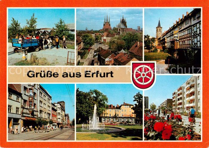 ERFURT CITY Ponyranch Am Blauen Huegel Dom Severikirche Kraemerbruecke Anger HO