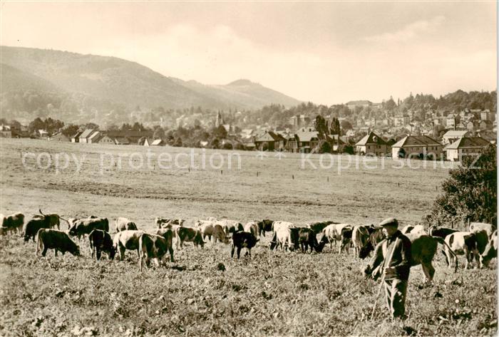 Friedrichroda Panorama