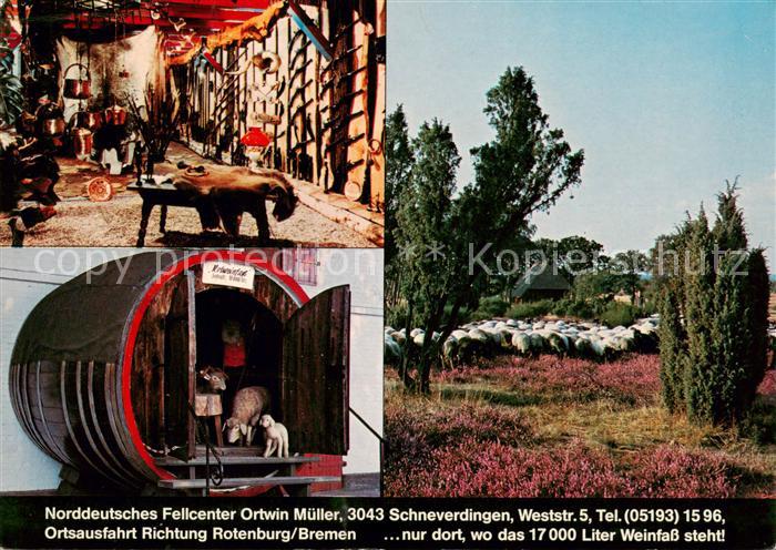 Schneverdingen Norddeutsches Fellcenter Fass Heidschnucken Heidelandschaft