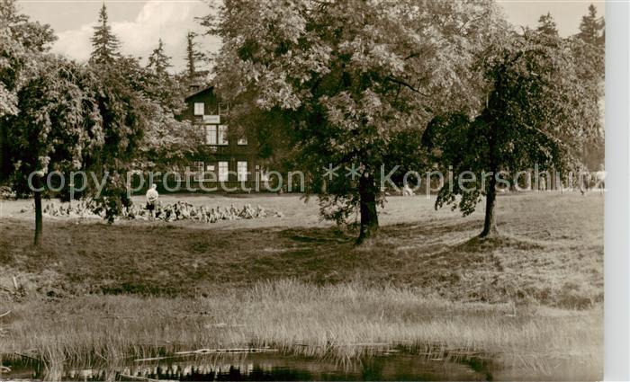 Friedrichroda Waldcafe Tanzbuche