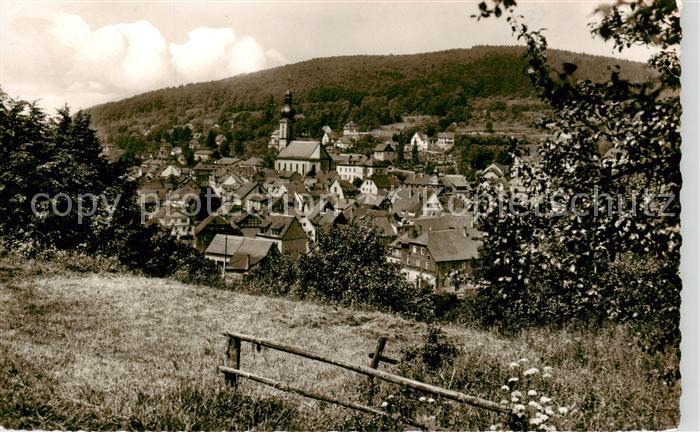 Bad Brueckenau Panorama
