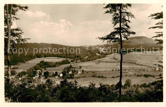 Bad Brueckenau Villenviertel mit Dreistelz
