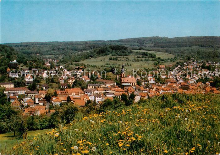 Bad Brueckenau Panorama