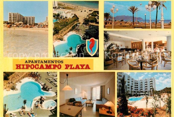 Cala Millor Mallorca Apartamentos Hipocampo Playa Swimming Pool