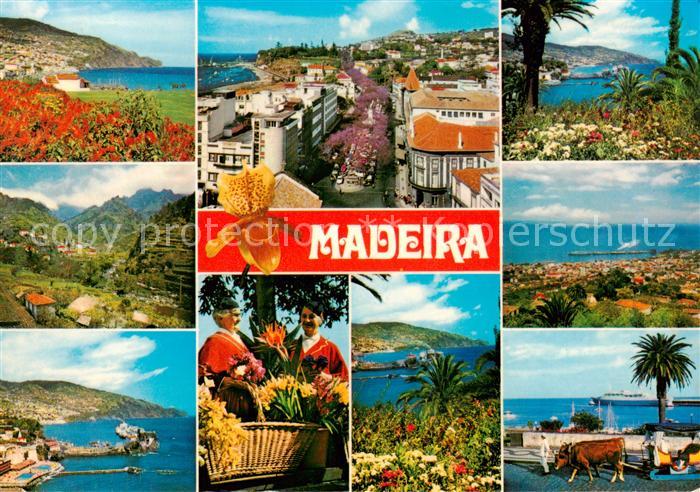 Madeira  Portugal As melhores vistas da Madeira
