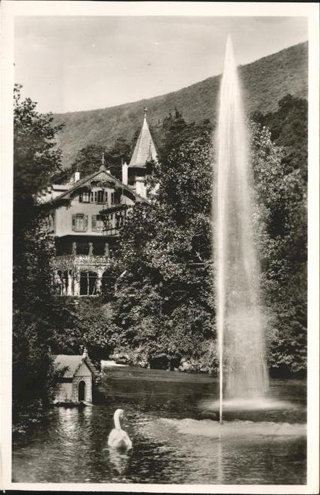Koenigsmuehle Neustadt Weinstrasse Ente Wasserfontäne