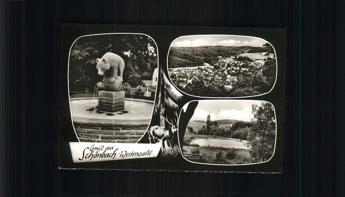 Schoenbach Dillkreis See Brunnen