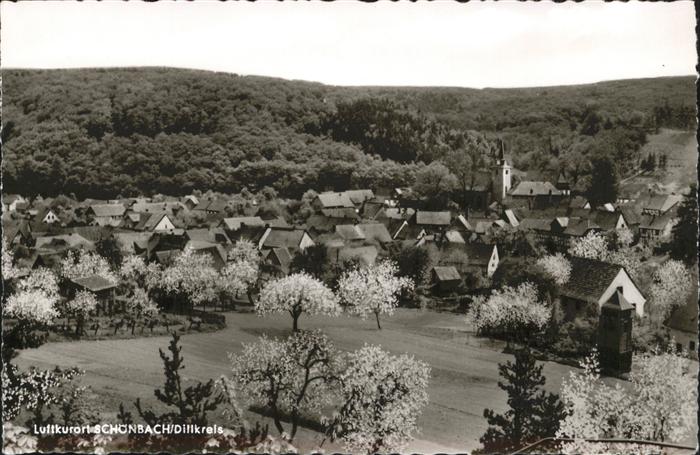 Schoenbach Dillkreis Ortsansicht