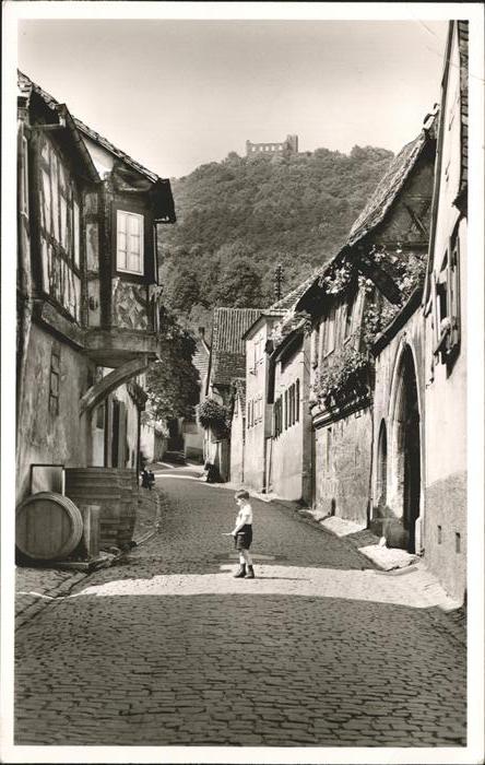 Hambach Weinstrasse Maxburg