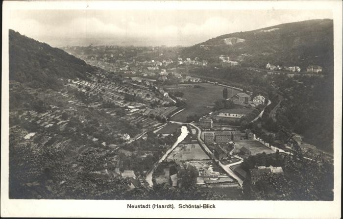 Neustadt Haardt Schöntalblick