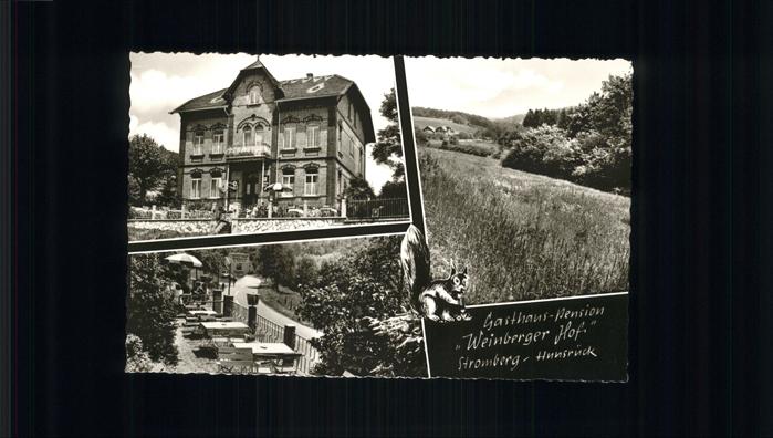 Stromberg Hunsrueck Weinberger Hof