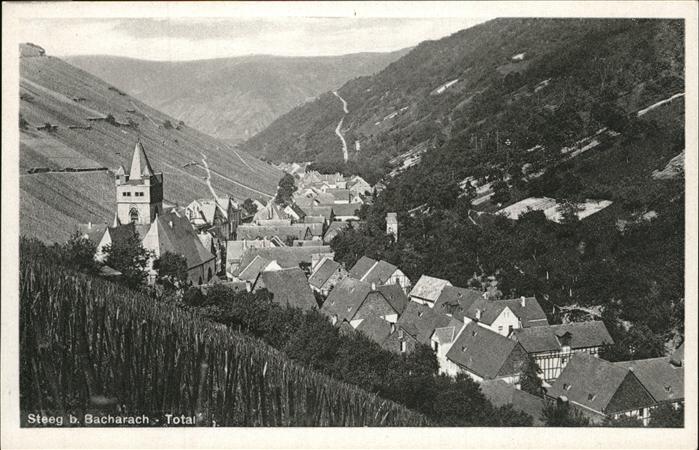 Steeg Bacharach Totalansicht