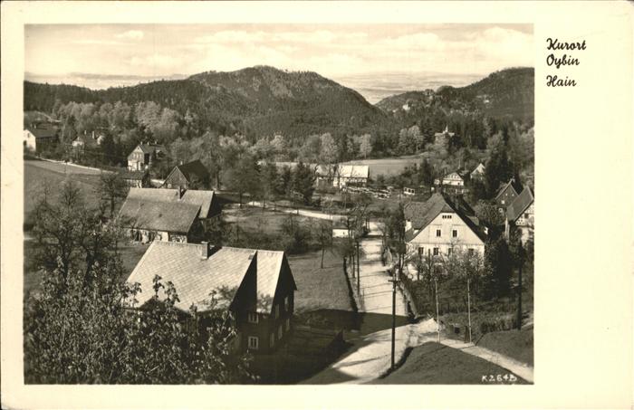 Oybin Sachsen Teilansicht
