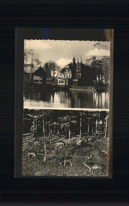 Ursprung Erzgebirge Damhirschzucht Kupfermühle