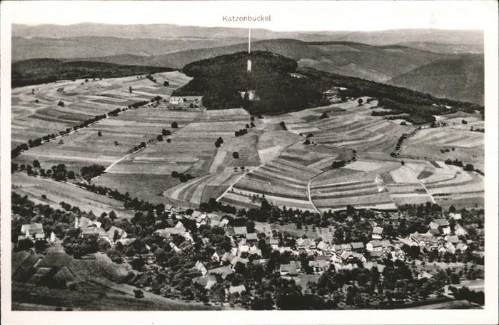 Waldkatzenbach Fliegeraufnahme