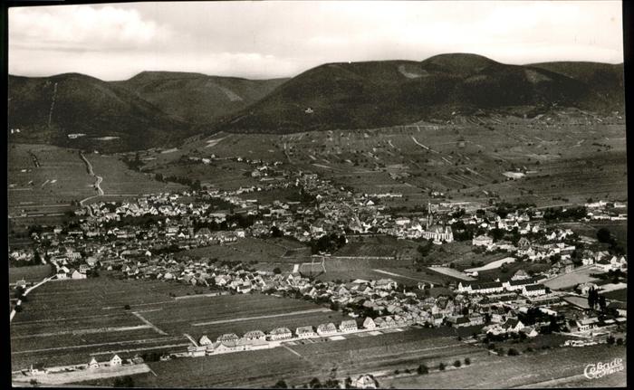 Edenkoben Weinstrasse Rheinland-Pfalz Pfaelzische Sesselbahn