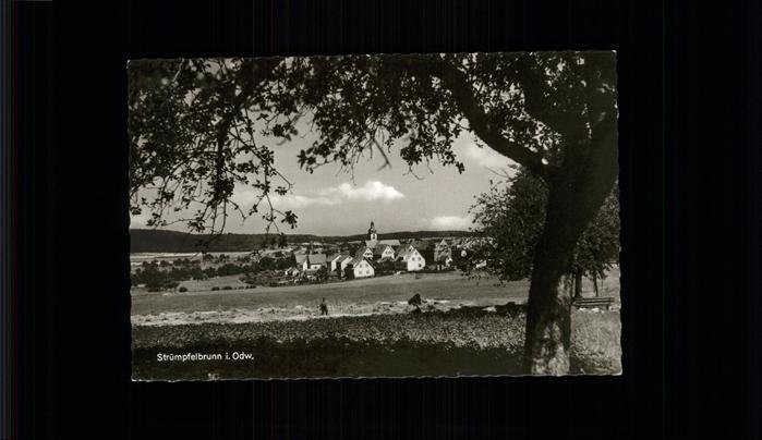 Struempfelbrunn Gasthaus Pension Zum Odenwald Riedinger