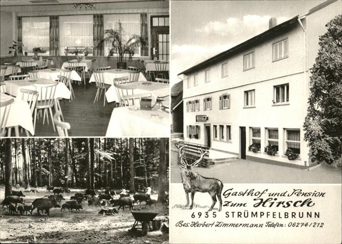 Struempfelbrunn Pension Zum Hirsch Herbert Zimmermann K
