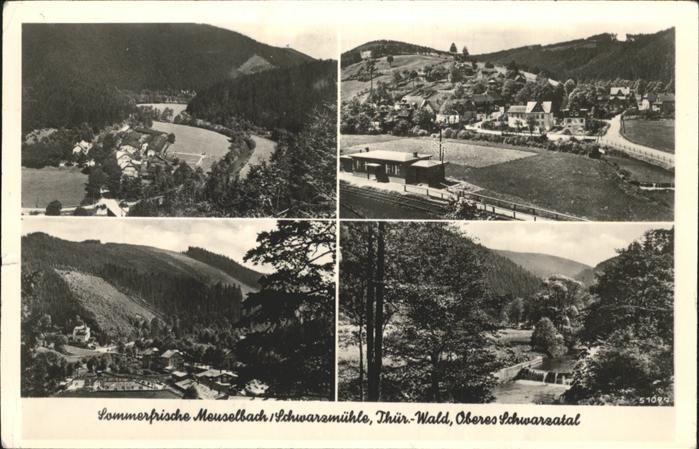 Meuselbach-Schwarzmuehle Schwarzmühle