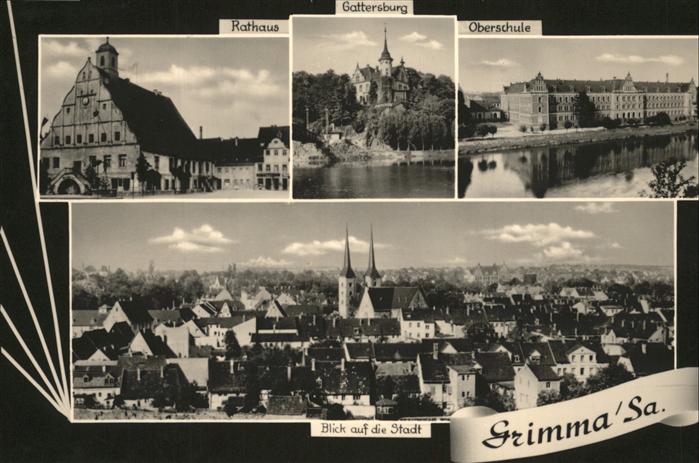Grimma Stadtansicht