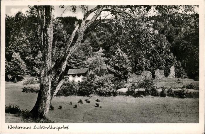 Heiligkreuzsteinach Klosterruine Lichtenklingerhof