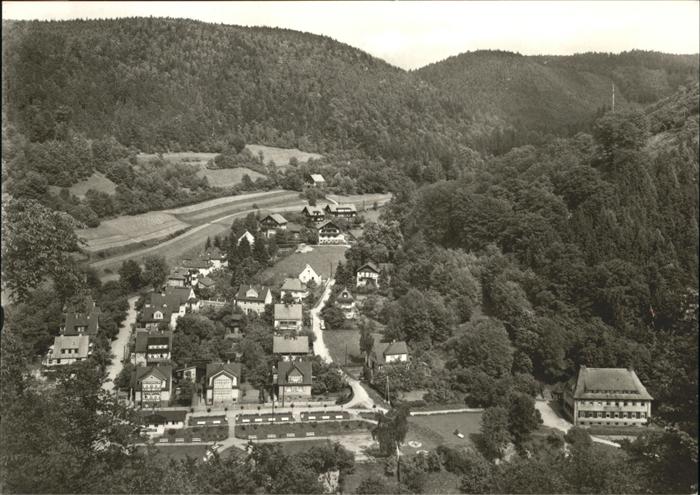 Schwarzburg Thueringer Wald