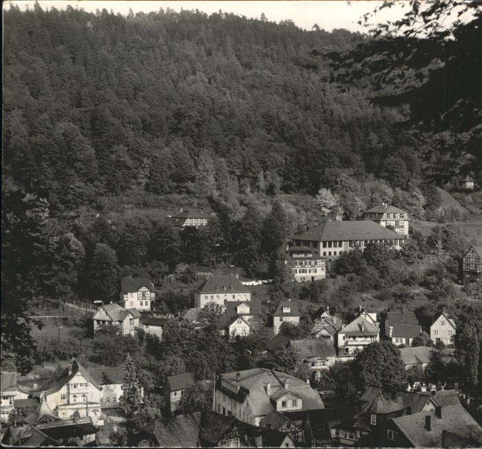 Schwarzburg Thueringer Wald Rinneweg