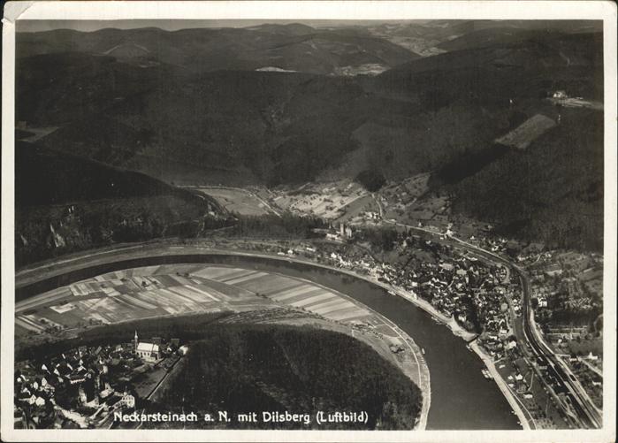 Neckarsteinach Dillsberg Luftbild