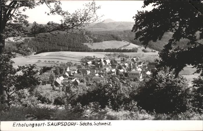 Saupsdorf