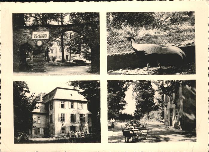 Schwarzburg Thueringer Wald HOG Fasanerie