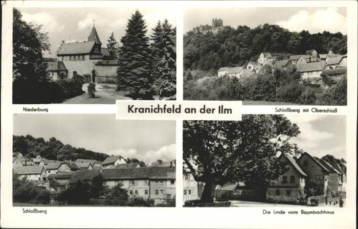 Kranichfeld Schloßberg Oberschloß Linde Baumbachhau