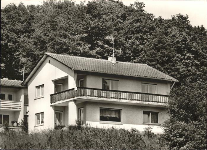 Waldmichelbach Haus Larsen
