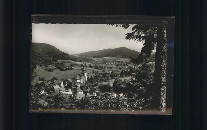 Unterschoenmattenwag