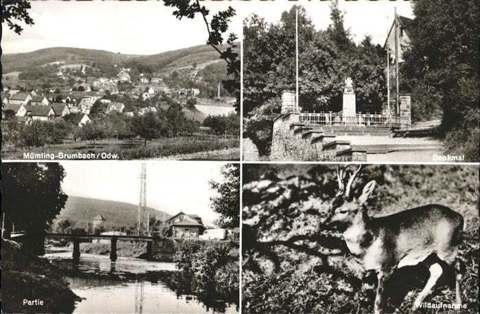 Muemling-Grumbach Denkmal Wild