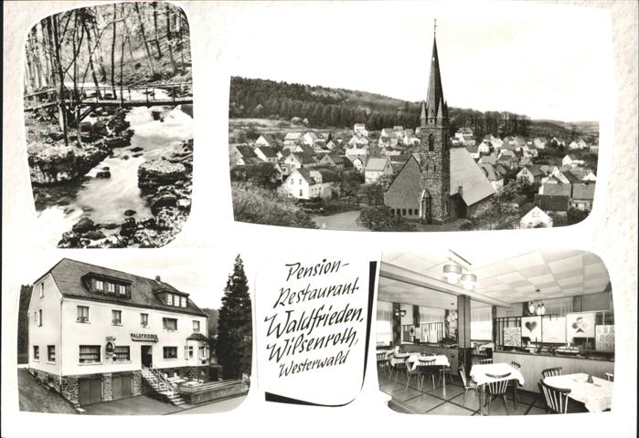 Wilsenroth Pansion Waldfrieden
