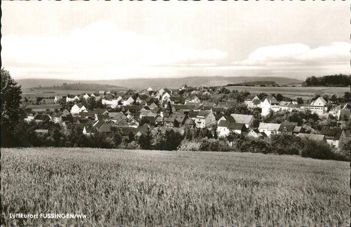 Fussingen Gesamtansicht