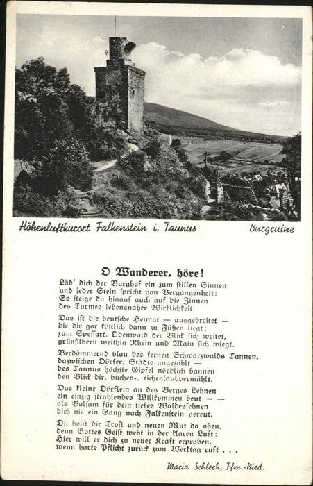 Falkenstein Taunus Burgruine