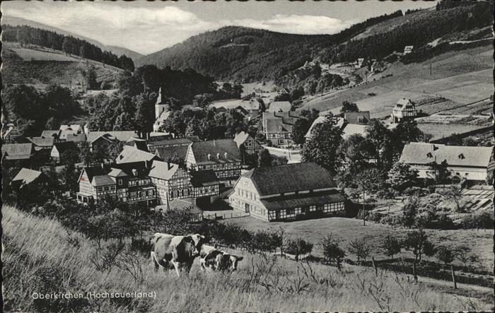 Oberkirchen Sauerland Kühe