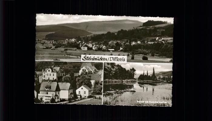 Steinbruecken Hammersweiher