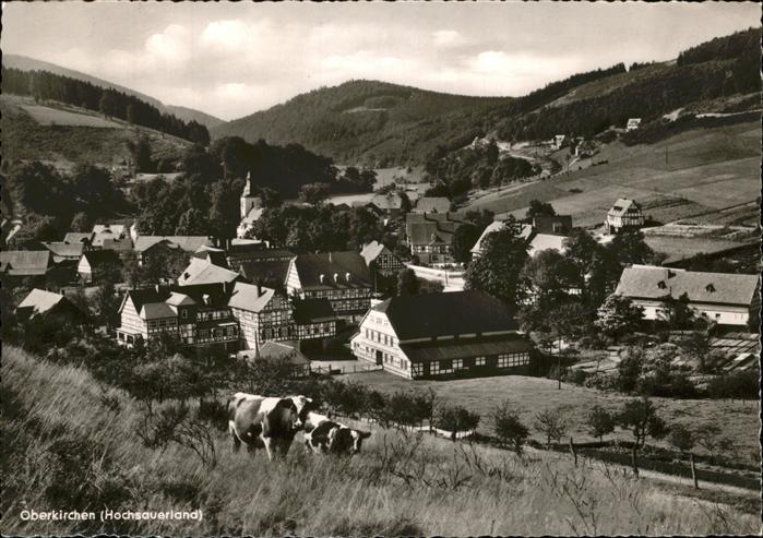 Oberkirchen Sauerland Kühe Gasthof Schütte