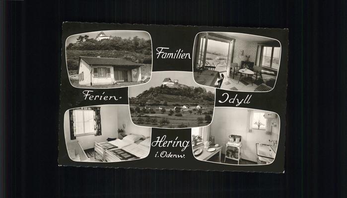 Hering Odenwald Familien Ferienerholung Idyll Hering