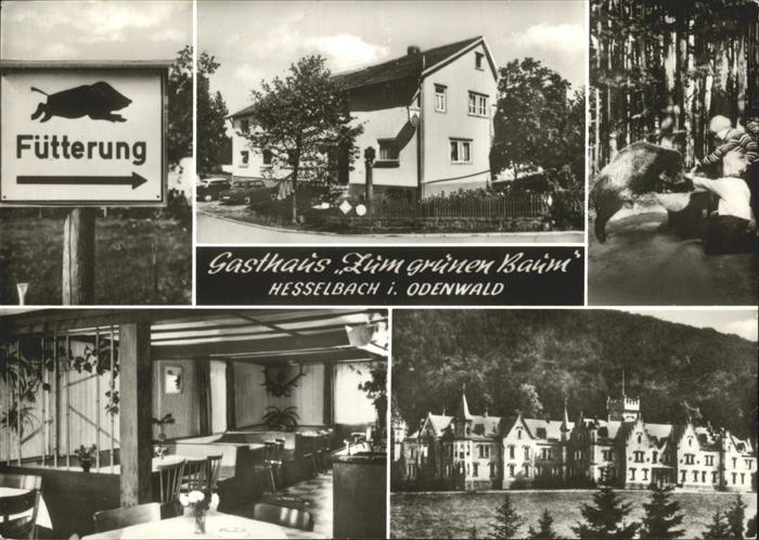 Hesselbach Odenwald Gasthaus Zum grünen Baum