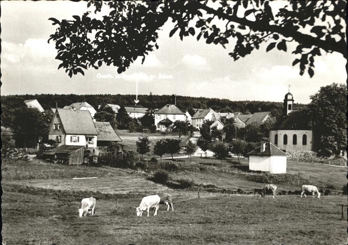 Hesselbach Odenwald Gasthaus Pension Zum grünen Baum